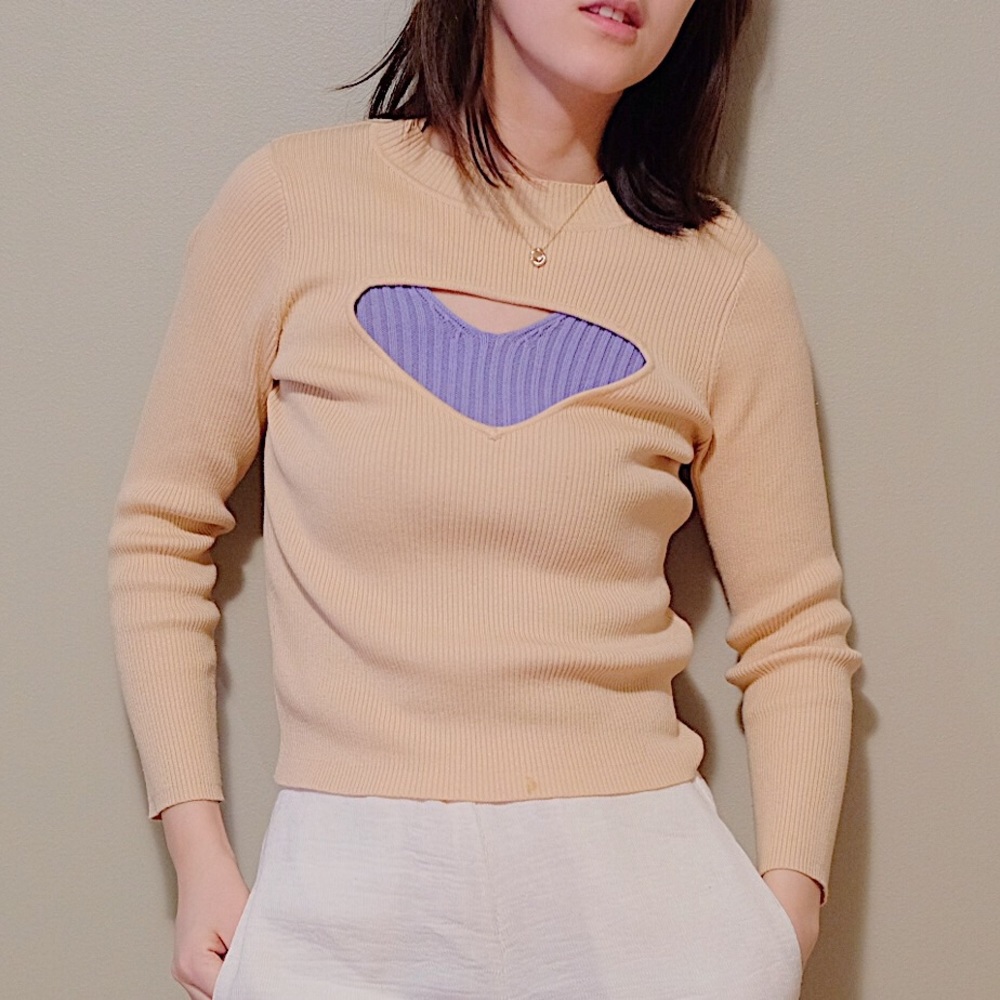 ZARA cutout knitted top